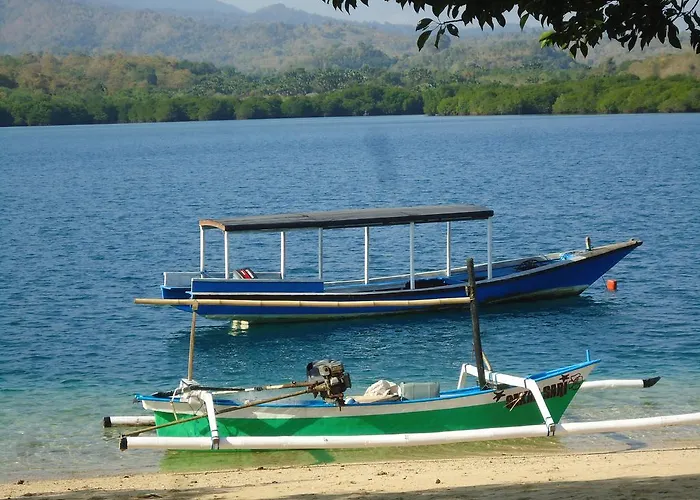 White Sandy Beach Menjangan 2*